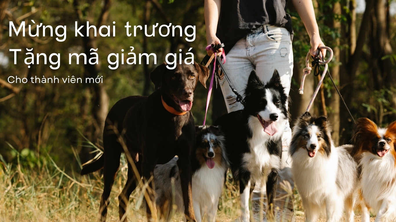 회원가입 할인 쿠폰 증정