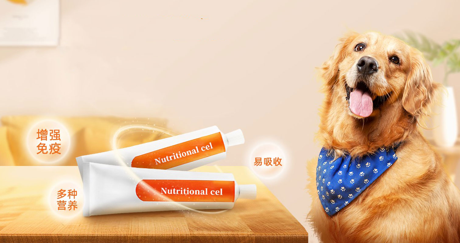 Tầm nhìn chiến lược