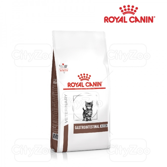 Kitten Cat Gastrointestinal