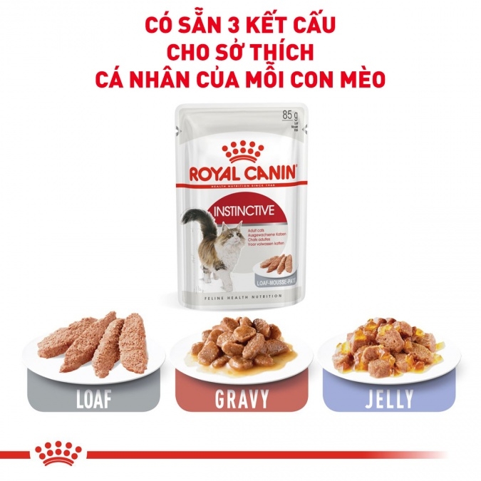 [Pate] Cat instinctive